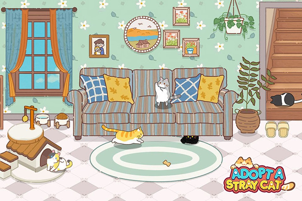 Adopt A Stray Cat